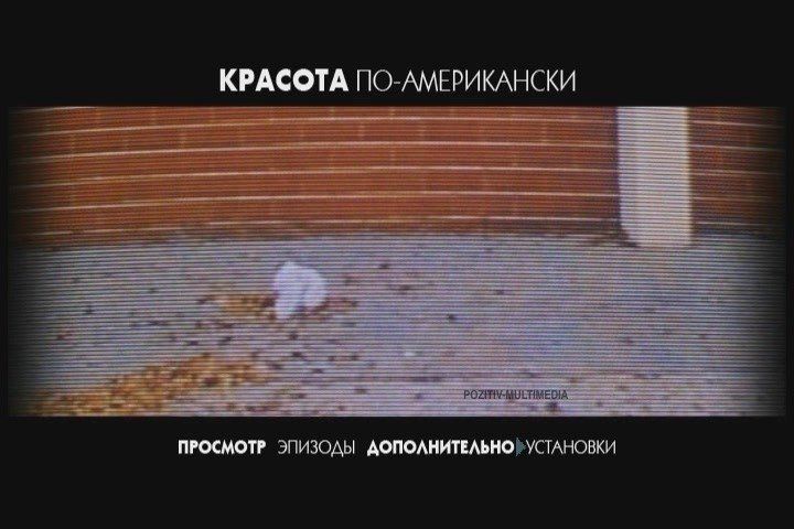 Скриншот