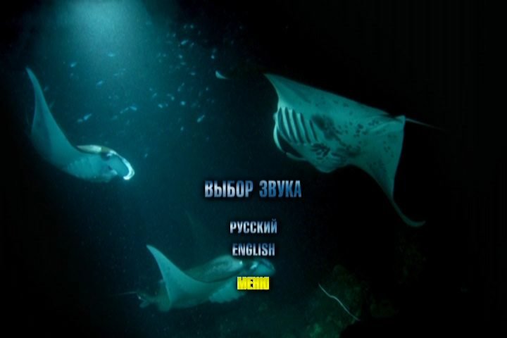 Скриншот