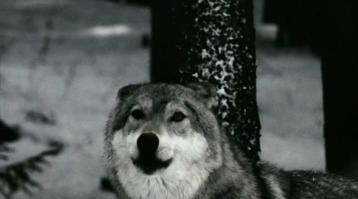 Скриншот
