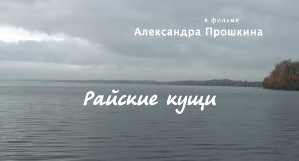 Скриншот