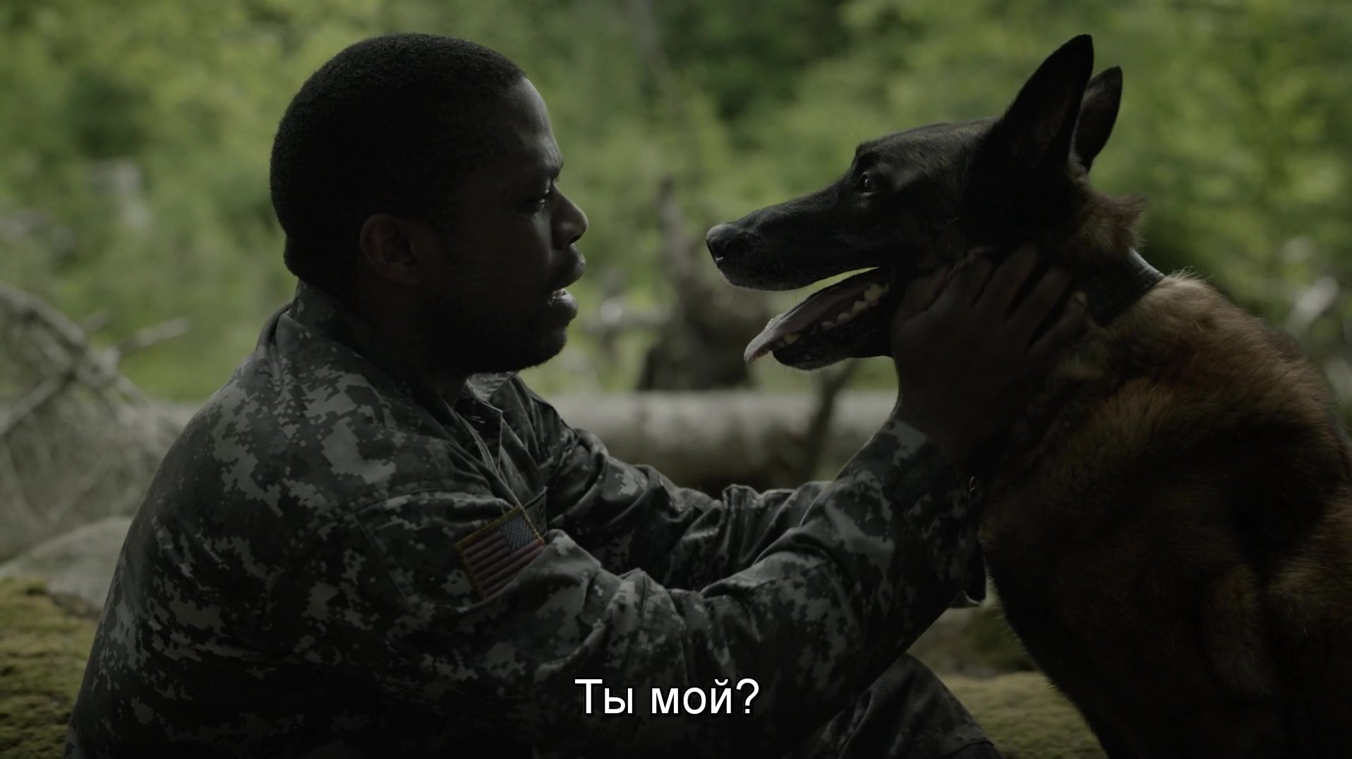 Скриншот