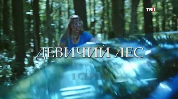 Скриншот