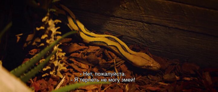 Скриншот
