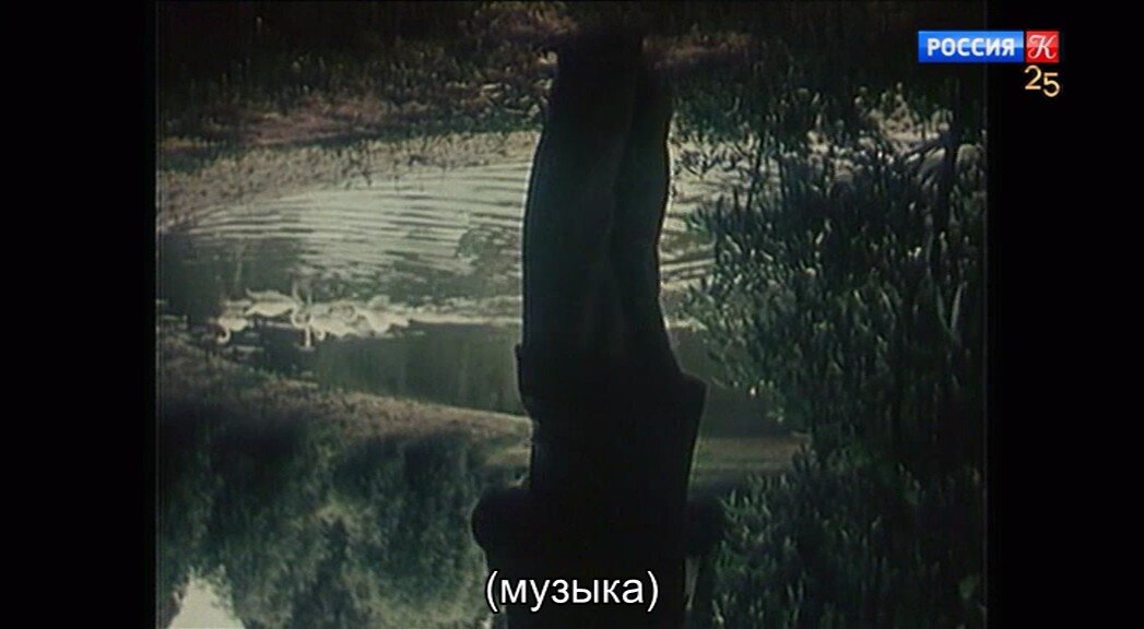 Скриншот