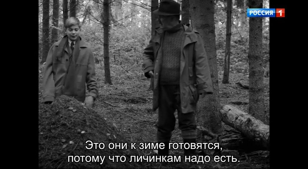 Скриншот