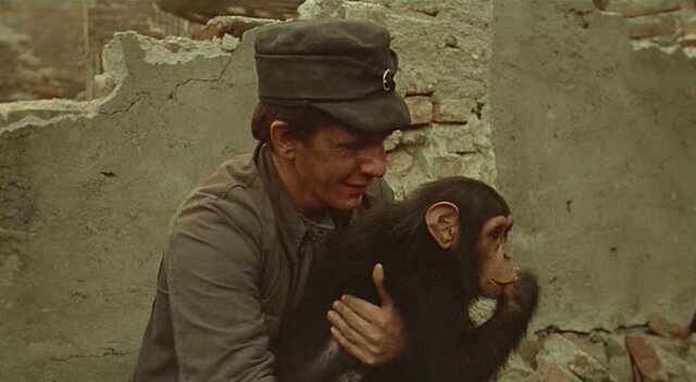 Скриншот
