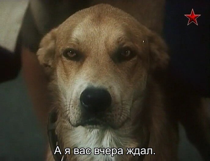 Скриншот